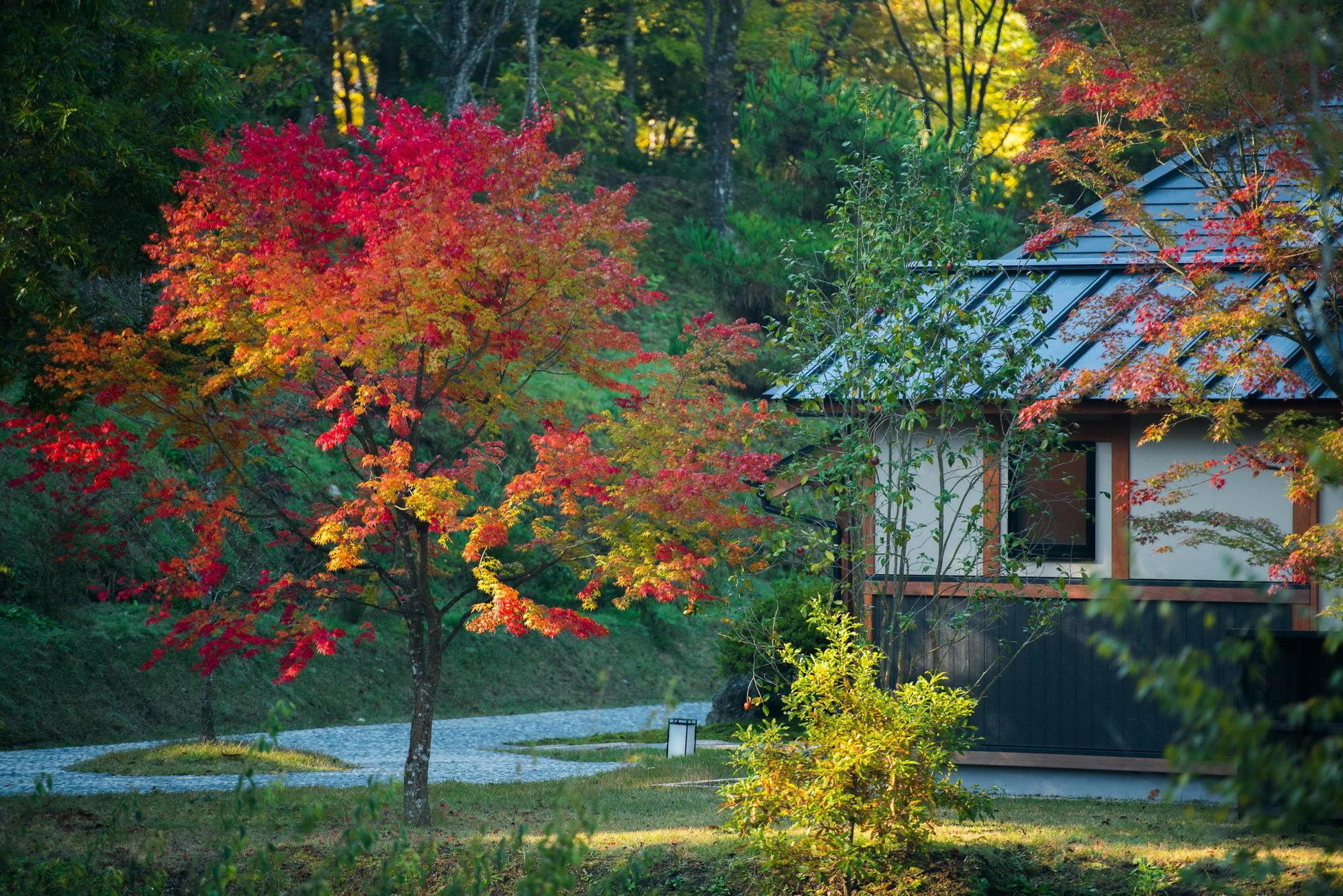 Miyama Sansou Hotel Minamioguni Kültér fotó