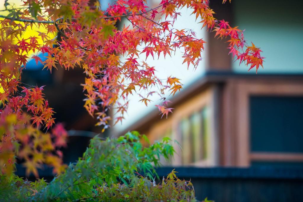 Miyama Sansou Hotel Minamioguni Kültér fotó